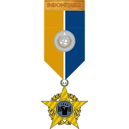 Medal of Indomitable Spirit