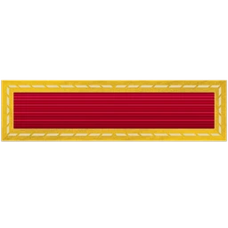 Popli IX Service Ribbon