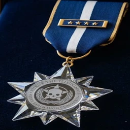 Illuminate Annihilator Medal