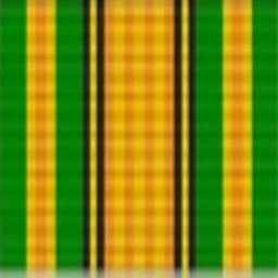Oshaune Hive Campaign Ribbon