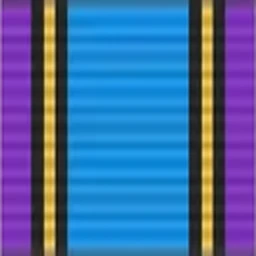 Seyshel Beach Campaign Ribbon
