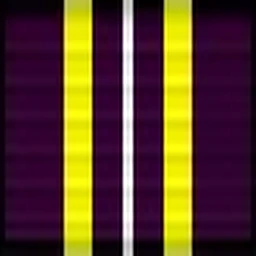 Combat Action Ribbon
