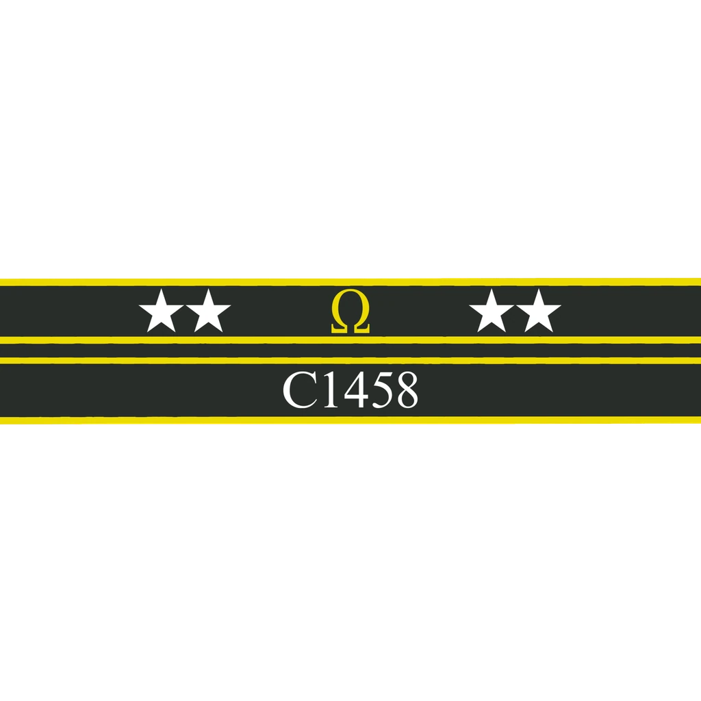 Ribbon of Valor: C1458