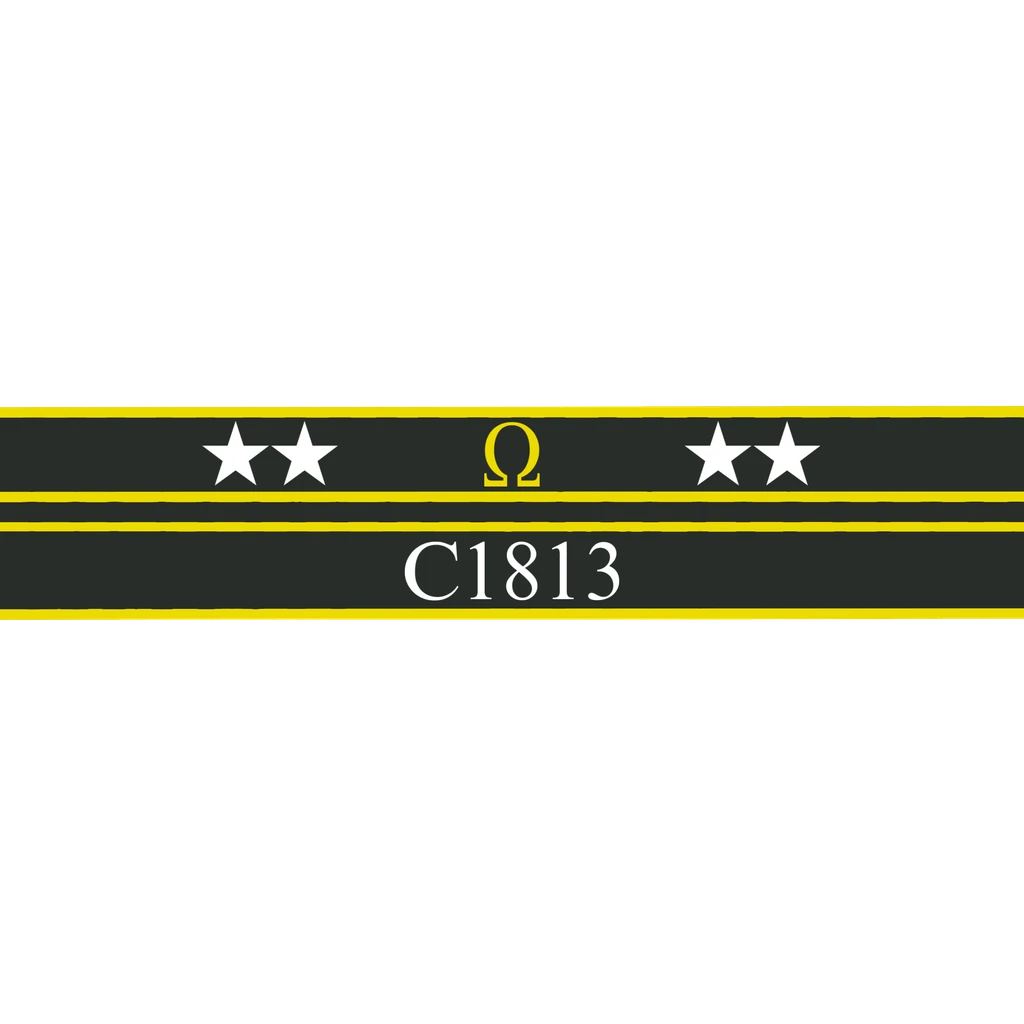 Ribbon of Valor: C1813