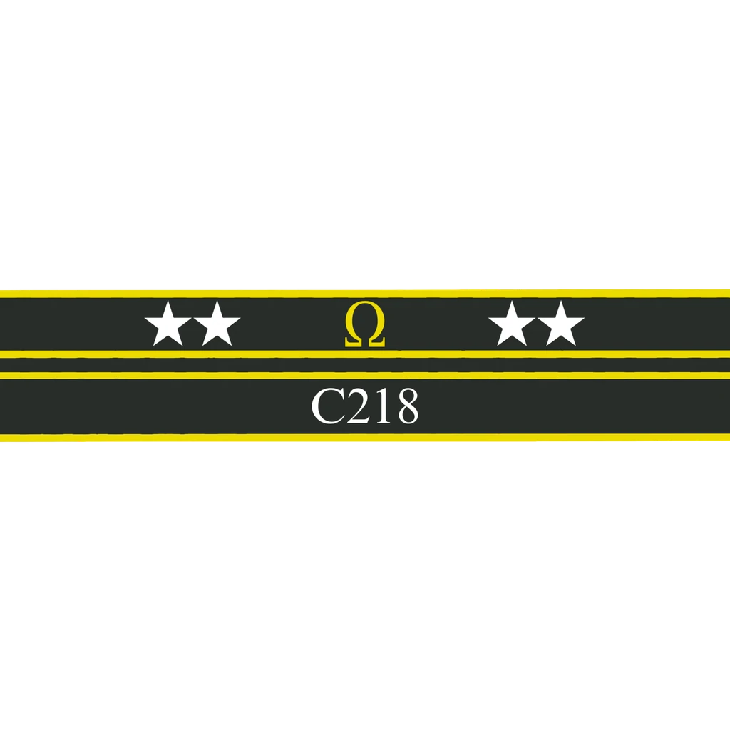 Ribbon of Valor: C218