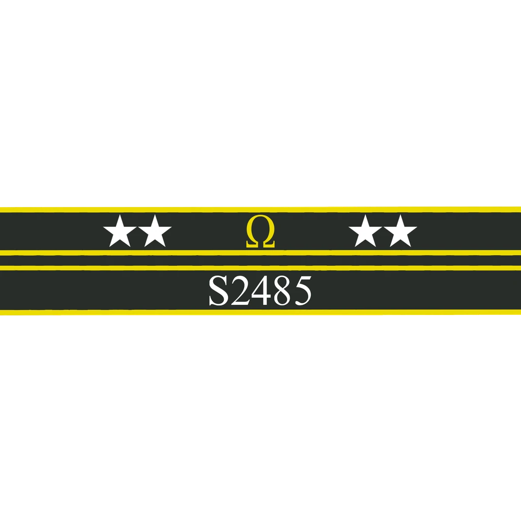 Ribbon of Valor: S2485