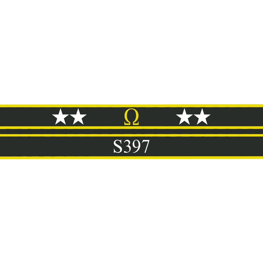 Ribbon of Valor: S397