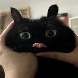 Delete me