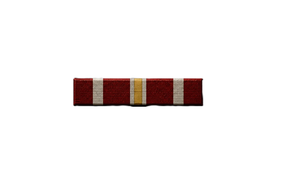 Iron Silence Campaign Ribbon