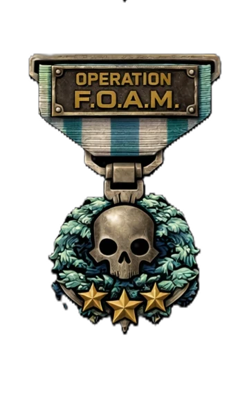 Operation FOAM Medal of Valor