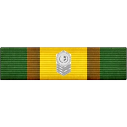 No Taco on this Household Ribbon