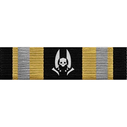 Honor Guard Ribbon