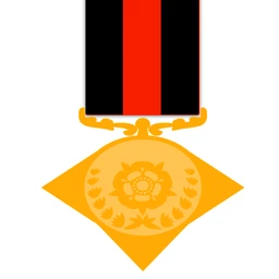 Operation Iron Damnation Campaign Medal