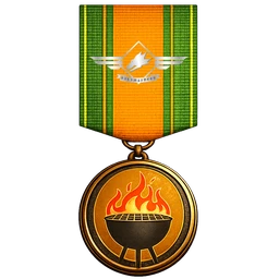 Party Grill Medal
