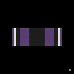 Service Medal for Operation Rebuilding