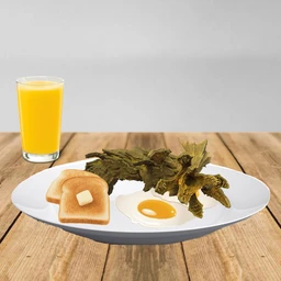 Bugs for Breakfast