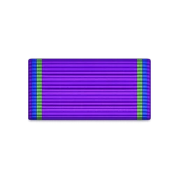 Hero of the DSS ribbon