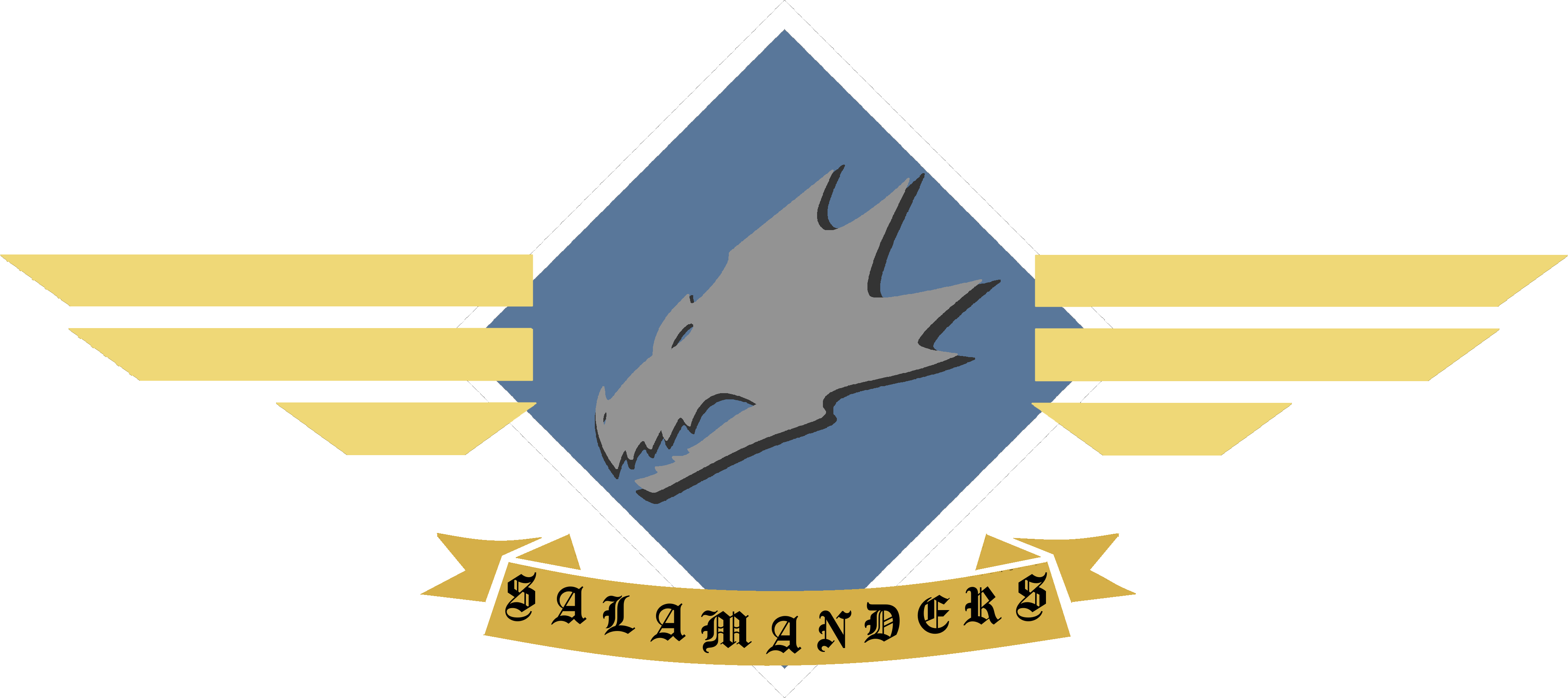 117th Salamander Regiment Logo