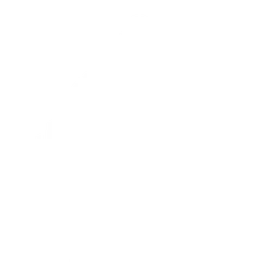 120th Helldiver Battalion