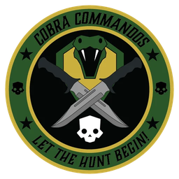125th Cobra Commandos
