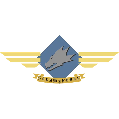 117th Salamander Regiment Logo