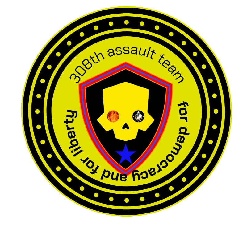 308th assault team Logo
