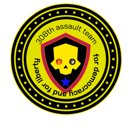 308th assault team