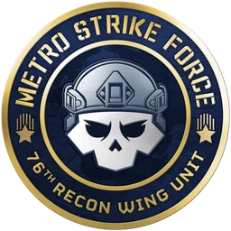 Metro Strike Force