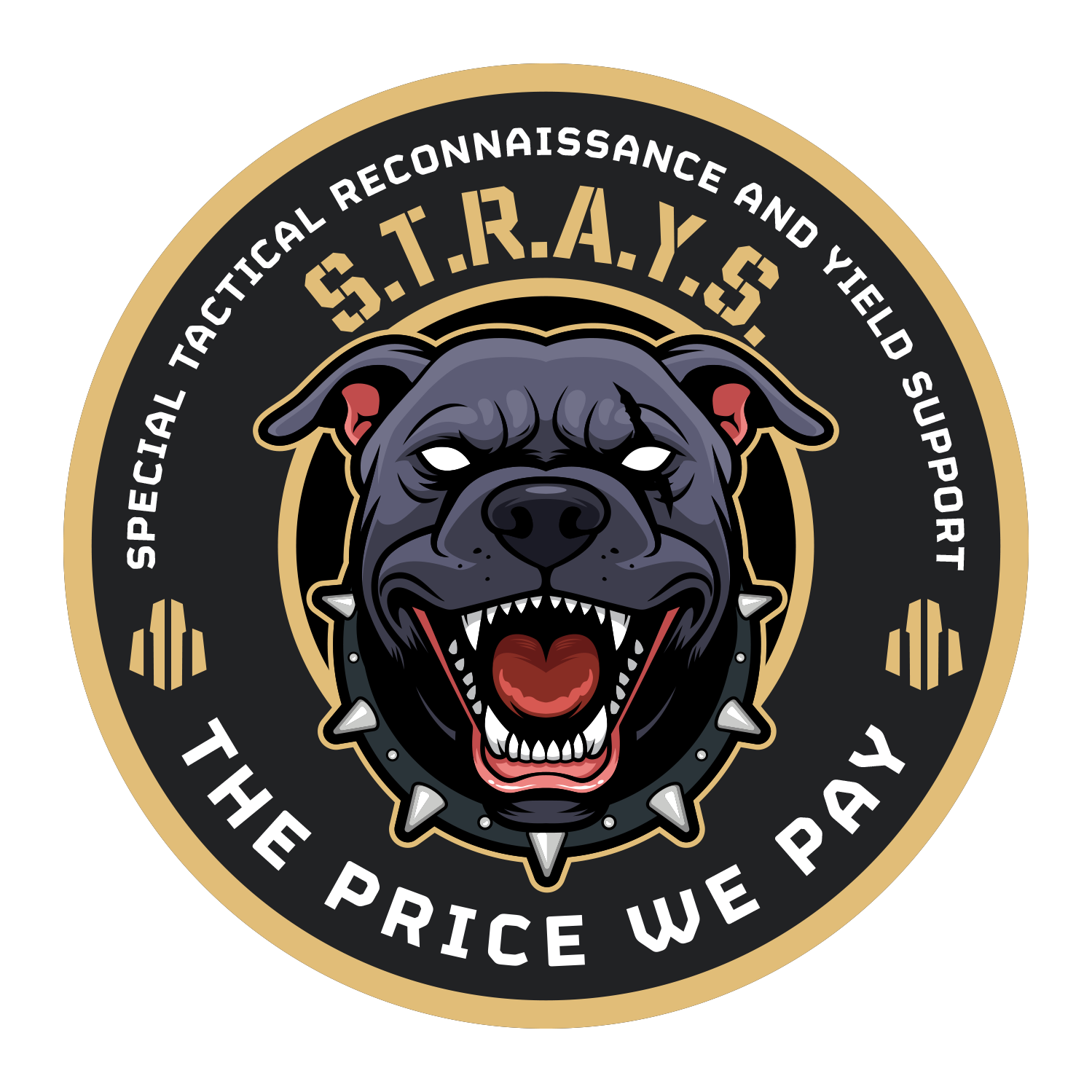 S.T.R.A.Y.S. Enlisted (Reserves) Logo