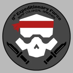 9th Rifles Company