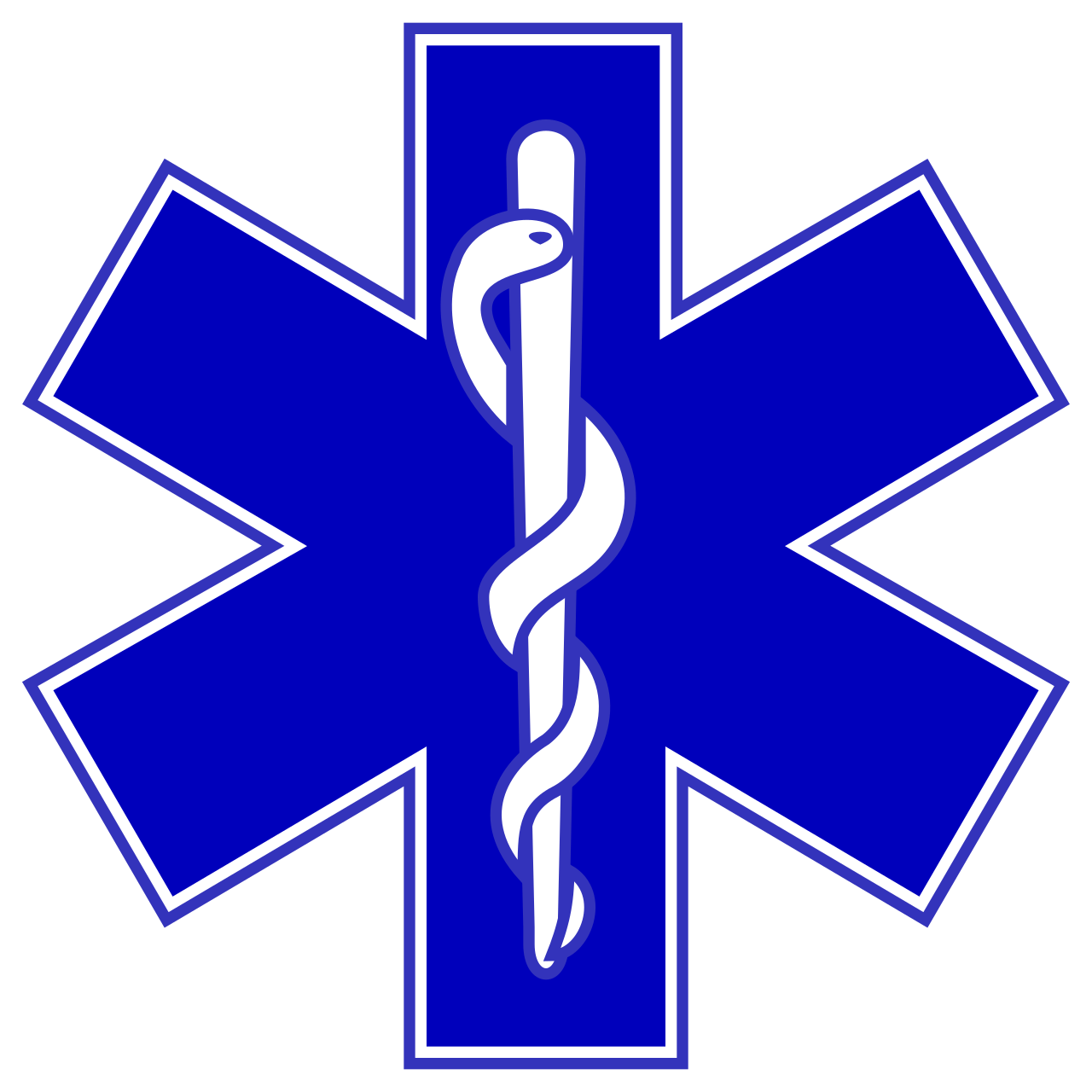 4th Medical Corps "Guardian Angels" Logo