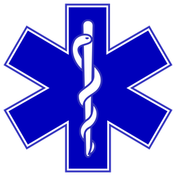 4th Medical Corps "Guardian Angels"