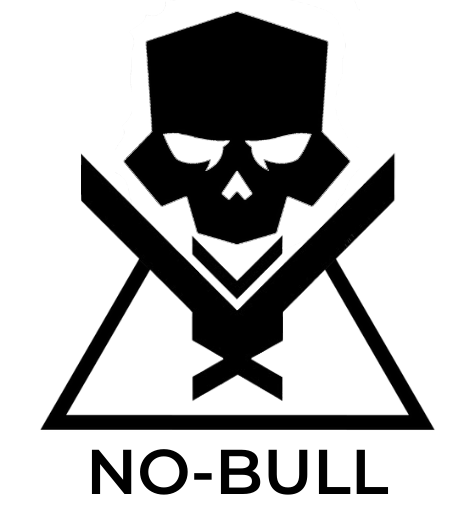 No-Bull Squadron 1st Fleet 1st Wing