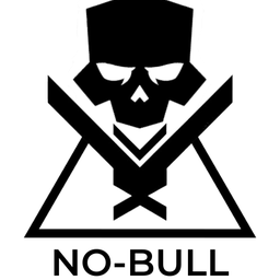 No-Bull Squadron 1st Fleet 1st Wing