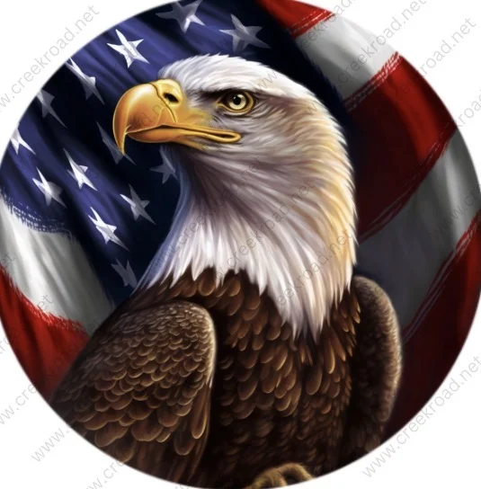 The Patriotic Eagle