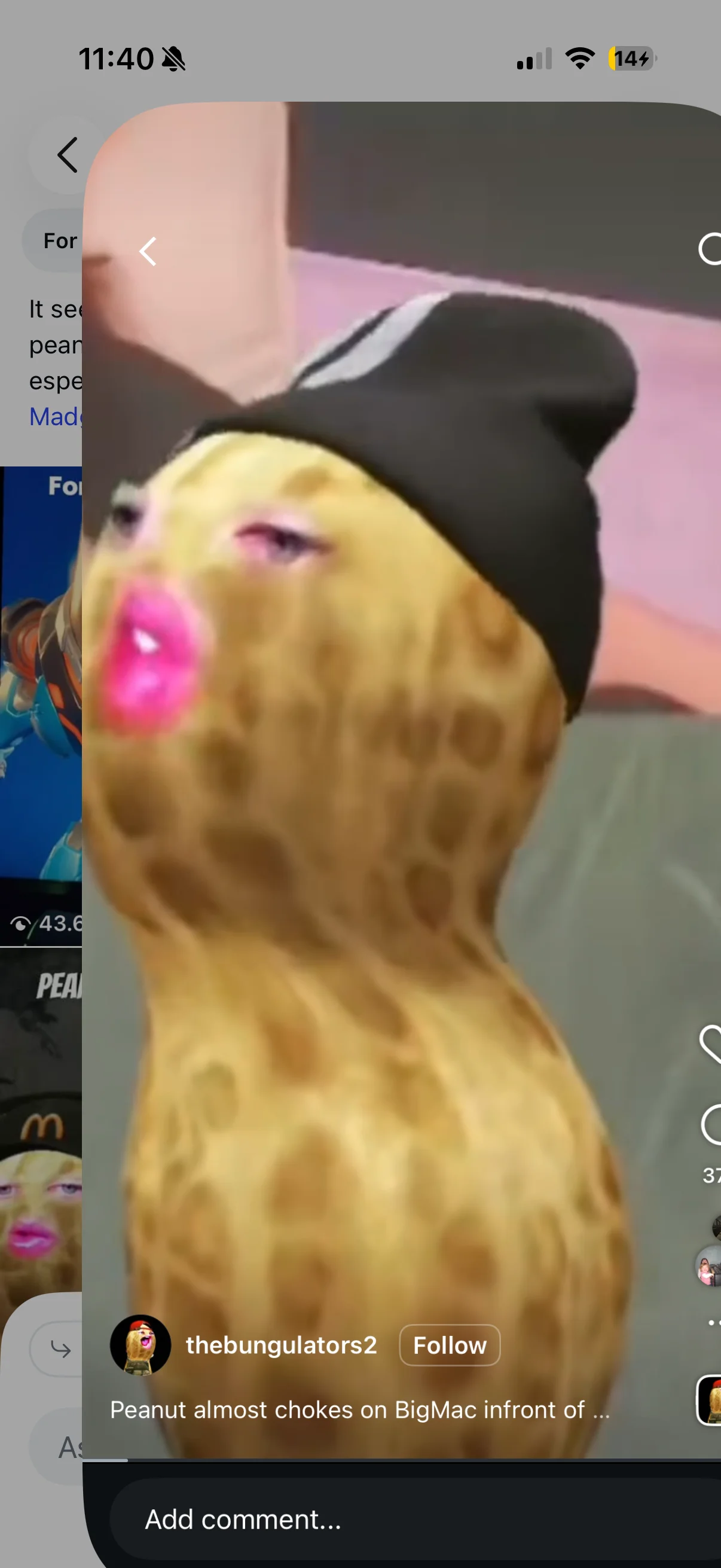 shrapnelgothacked