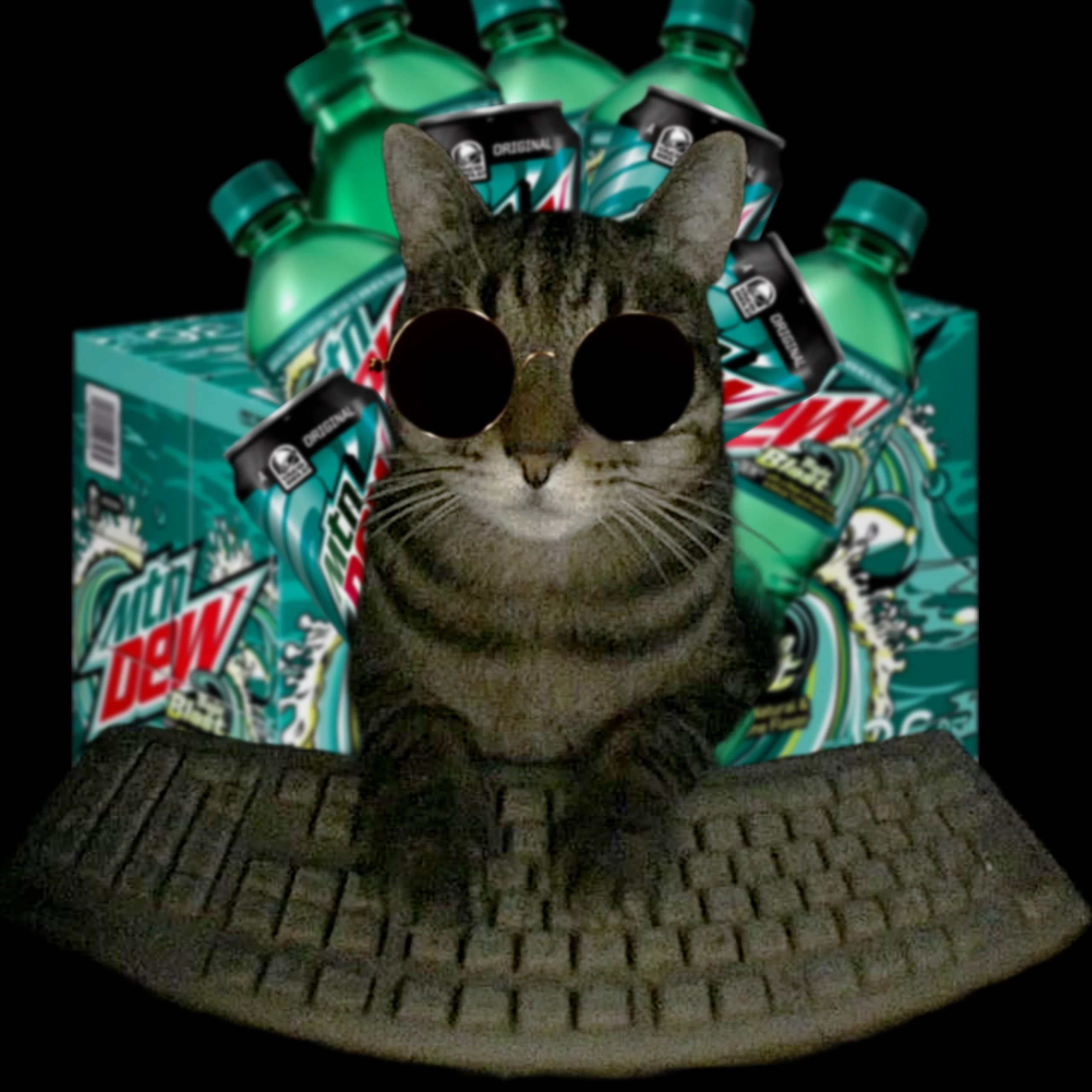 Baja Benji